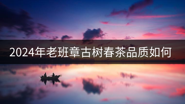 2024年老班章古樹(shù)春茶品質(zhì)如何？