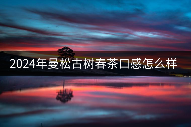 2024年曼松古樹春茶口感怎么樣？