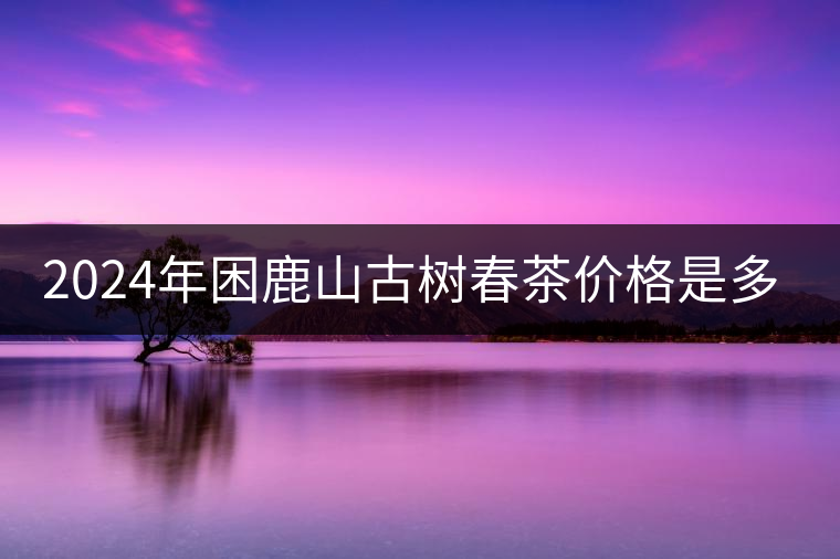 2024年困鹿山古樹春茶價格是多少？