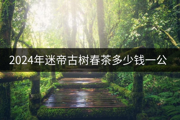 2024年迷帝古樹(shù)春茶多少錢一公斤？