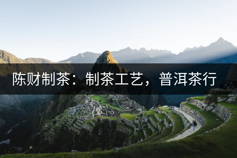 陳財制茶：制茶工藝，普洱茶行業(yè)的生死線