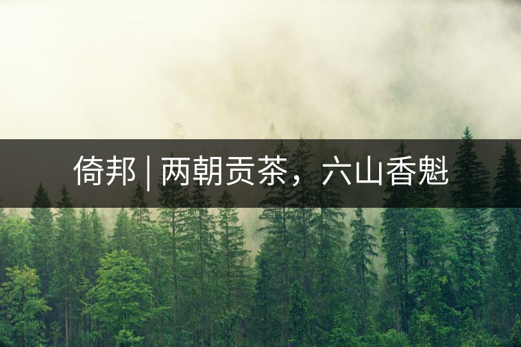 倚邦 | 兩朝貢茶，六山香魁
