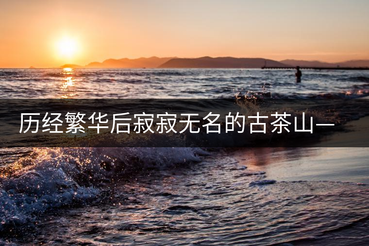 歷經(jīng)繁華后寂寂無(wú)名的古茶山——莽枝