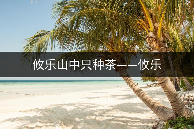 攸樂(lè)山中只種茶——攸樂(lè) 攸樂(lè)山中只種茶——攸樂(lè)