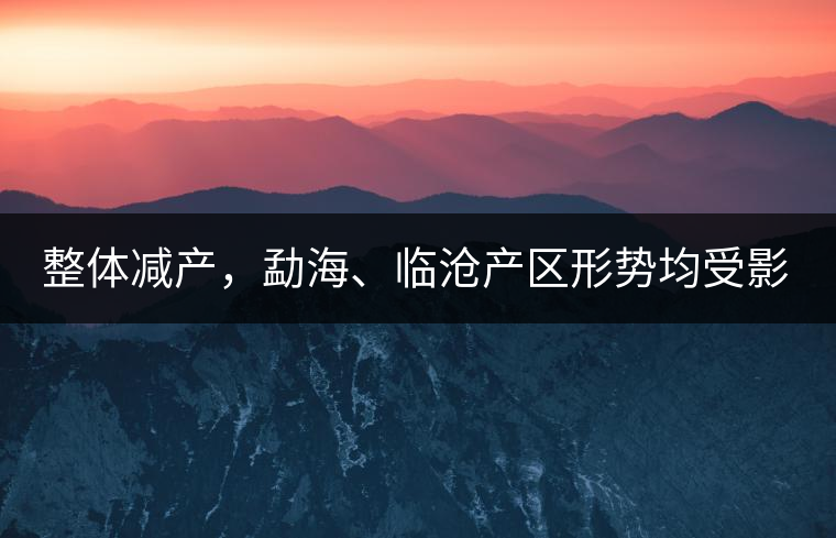 整體減產(chǎn)，勐海、臨滄產(chǎn)區(qū)形勢(shì)均受影響