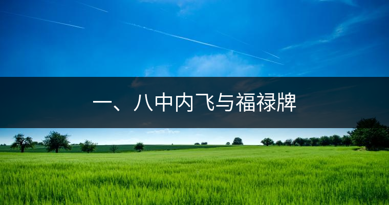 一、八中內飛與福祿牌