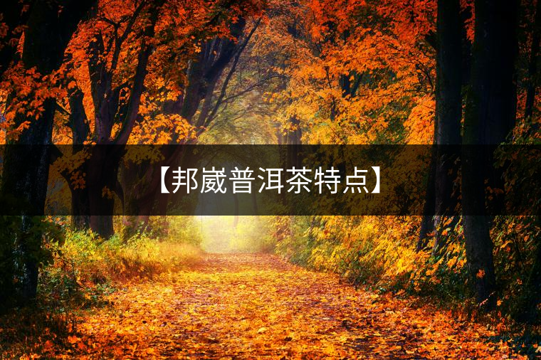 【邦崴普洱茶特點(diǎn)】
