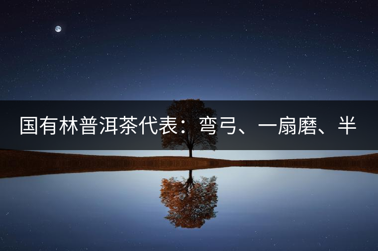 國有林普洱茶代表：彎弓、一扇磨、半坡老寨