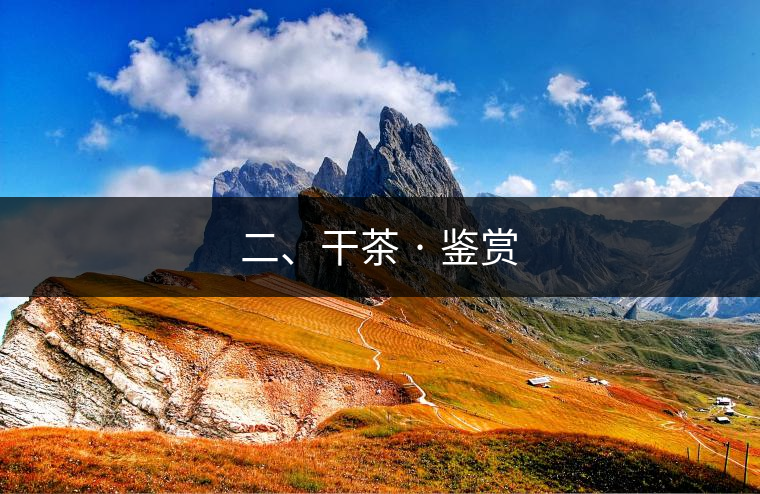 二、干茶 · 鑒賞