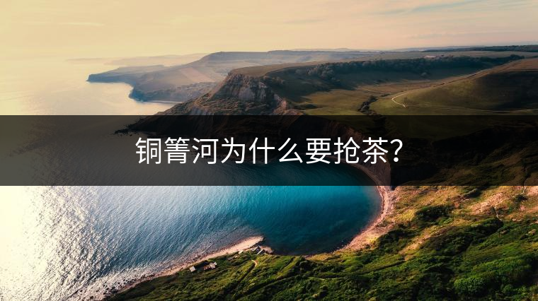 銅箐河為什么要搶茶？