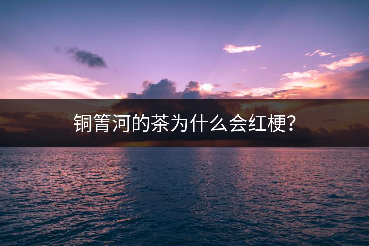 銅箐河的茶為什么會紅梗？