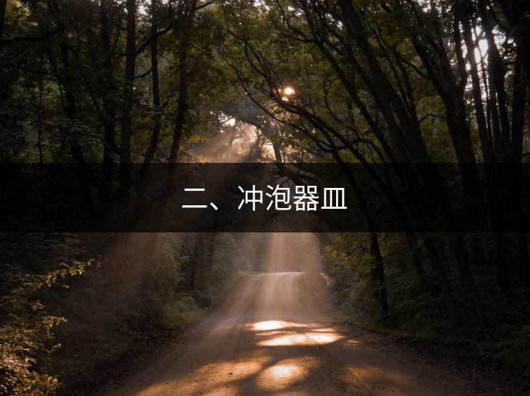 二、沖泡器皿