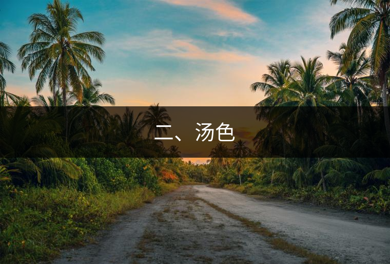 二、湯色