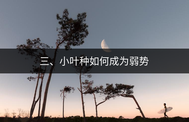 三、小葉種如何成為弱勢