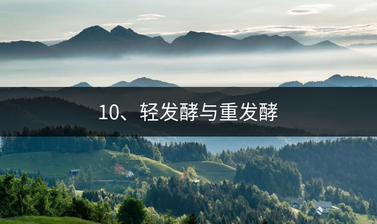 10、輕發(fā)酵與重發(fā)酵