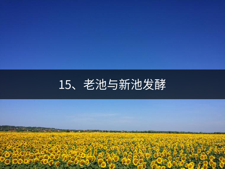 15、老池與新池發(fā)酵