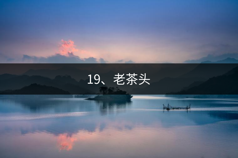 19、老茶頭