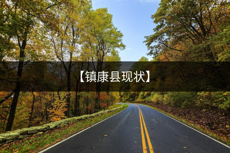 【鎮(zhèn)康縣現(xiàn)狀】