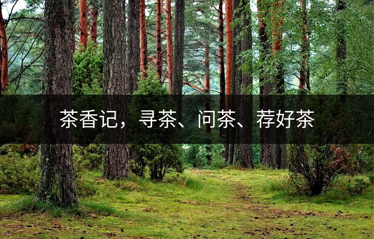 茶香記，尋茶、問茶、薦好茶