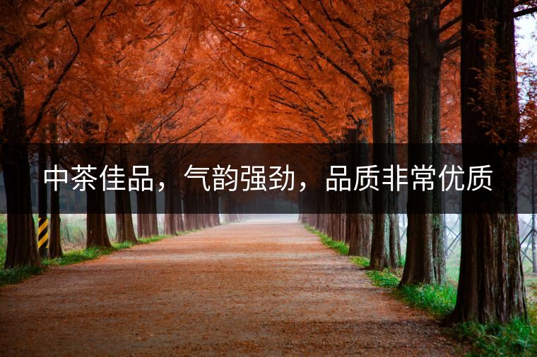 中茶佳品，氣韻強(qiáng)勁，品質(zhì)非常優(yōu)質(zhì)