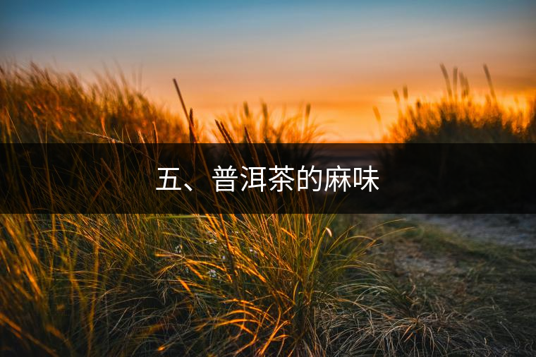 五、普洱茶的麻味