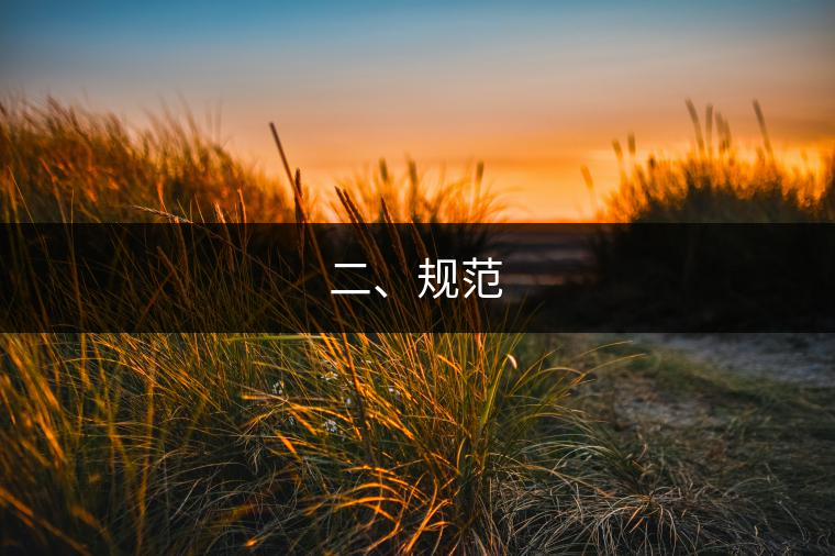 二、規(guī)范