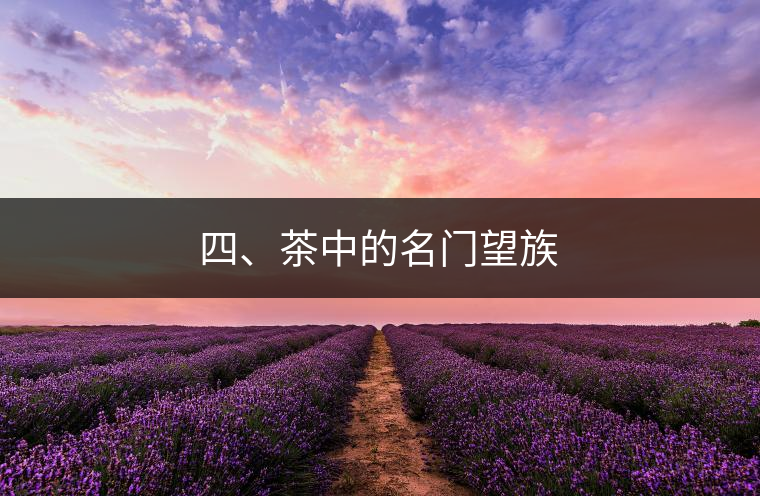 四、茶中的名門望族