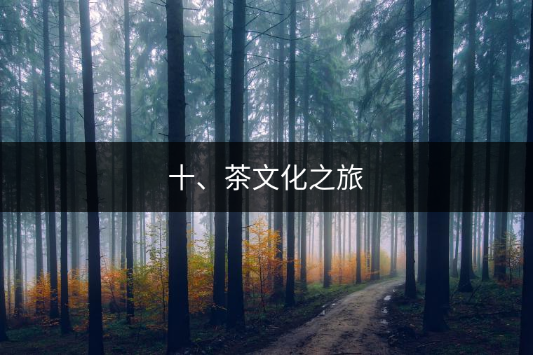十、茶文化之旅