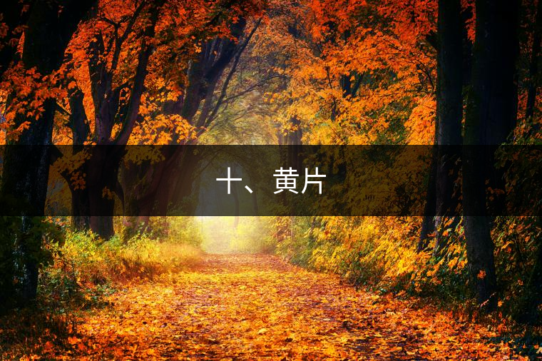 十、黃片