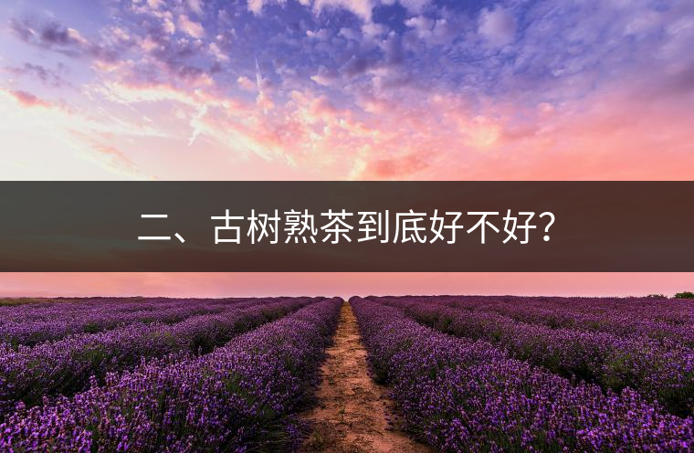 二、古樹熟茶到底好不好？