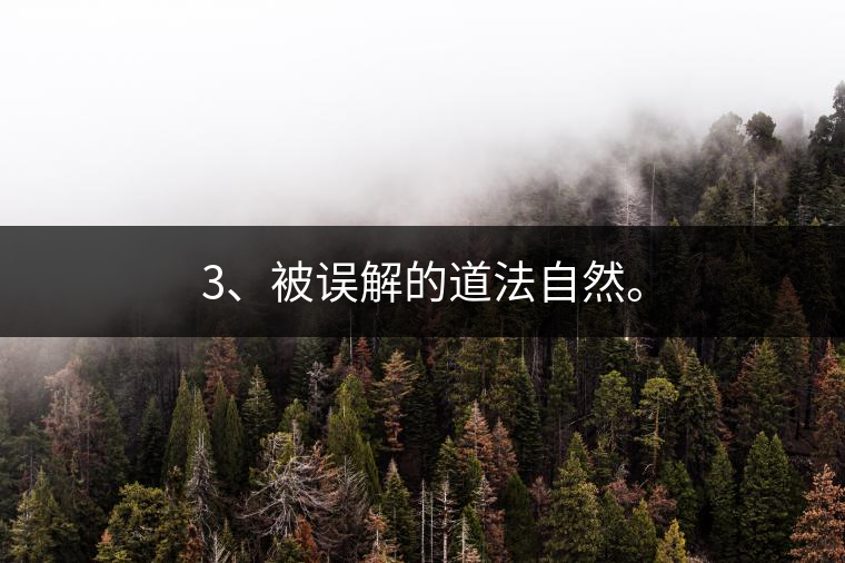 3、被誤解的道法自然。