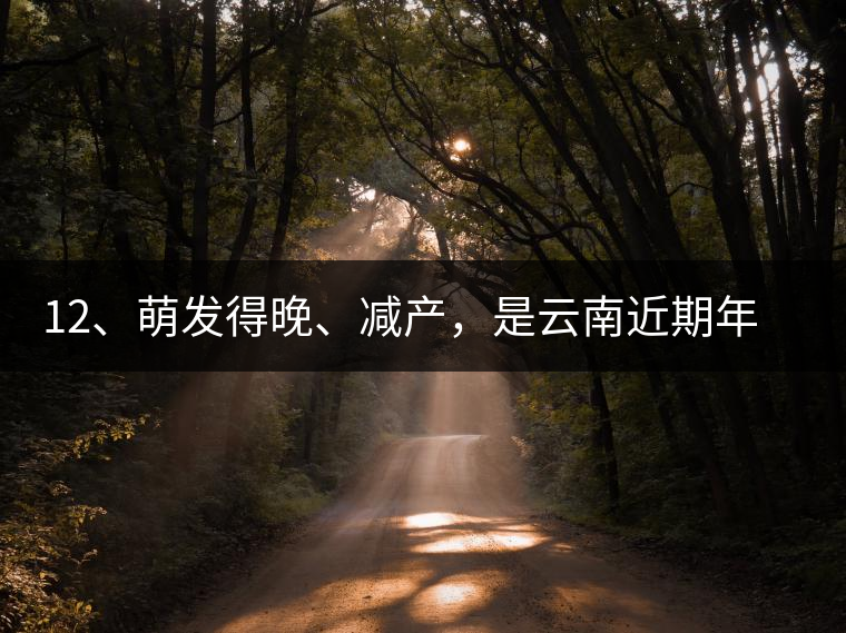 12、萌發(fā)得晚、減產(chǎn)，是云南近期年氣候變化在茶樹上的延遲反映。