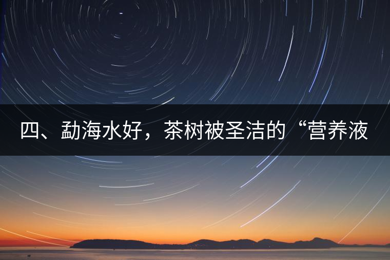 四、勐海水好，茶樹被圣潔的“營養(yǎng)液”所滋養(yǎng)