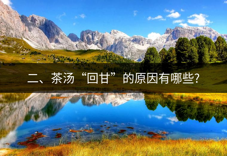 二、茶湯“回甘”的原因有哪些?