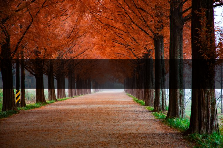 這樣的茶葉邊疆文化，也許是明代大學者解縉最樂意見到的。他曾說，中原最好的東西就是茶，而番人最好的就是馬。他贊同明廷茶馬互市的國策：茶之于夷人，如同中國之酒醴，因為茶馬貿(mào)易，許多夷人也開始學習中國的知識，對中國也有了向慕之心，那么茶的作用就很顯然，茶有著“夷夏之交，義利之辨，寅賓尚忠信而篤敬，河州固唐虞三代之邦也。”
茶不僅僅是一種飲品，還有其他。茶作為媒介，體現(xiàn)了觀念的變化。如今，隨著茶的傳播，各族人民有了更深入往來，通過貿(mào)易、文化、旅游等等。
陳渠珍從西藏抵達湟源區(qū)域時，也為這里的古風所震驚：“余皆漢番雜處。風俗婦女尚餞足，裙下蓮步不及三寸，服飾既古，文化尤卑，鄰居為私塾，當見一生久讀不能成誦，塾師罰之跪，以草圈罩頭上，頻加籌石，令其跪誦。余見駭然?！?
?
（摘自《海峽茶道》，2013年5期）