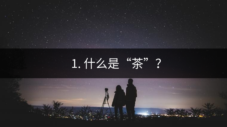 ? 1. 什么是“茶”？