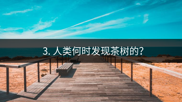 ? 3. 人類何時發(fā)現(xiàn)茶樹的？