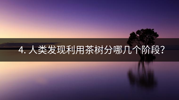 ? 4. 人類發(fā)現(xiàn)利用茶樹分哪幾個階段？