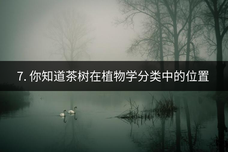 ??7. 你知道茶樹在植物學(xué)分類中的位置嗎？