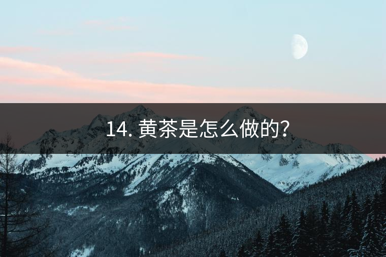 ? 14. 黃茶是怎么做的？
