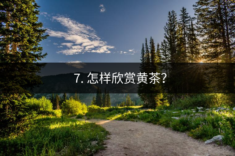? 7. 怎樣欣賞黃茶？