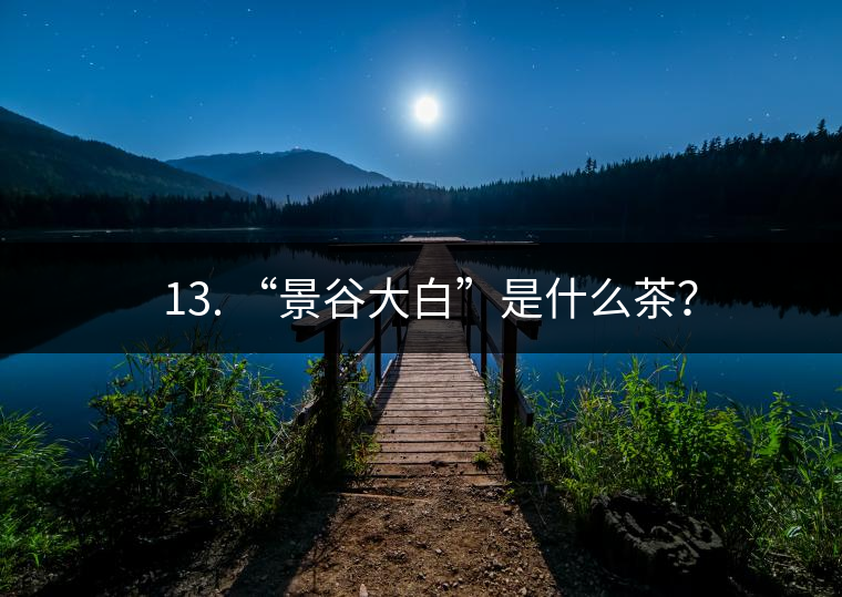 ? 13. “景谷大白”是什么茶？