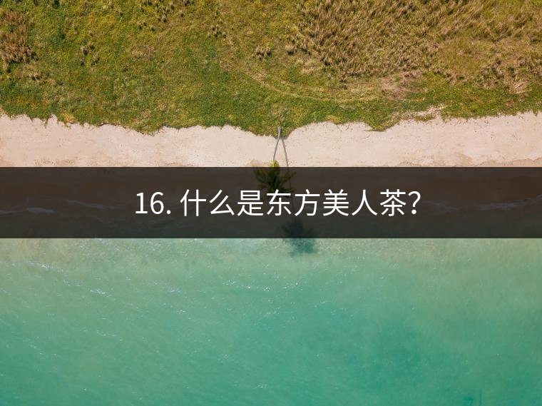 ? 16. 什么是東方美人茶？