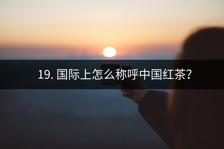? 19. 國際上怎么稱呼中國紅茶？