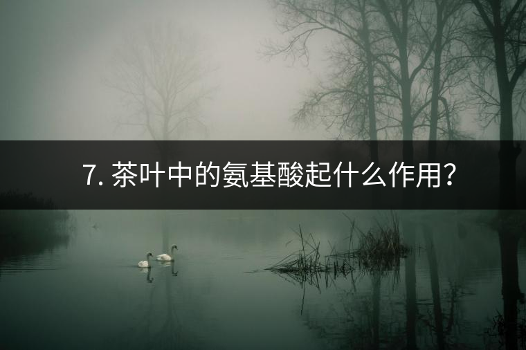 ? 7. 茶葉中的氨基酸起什么作用？