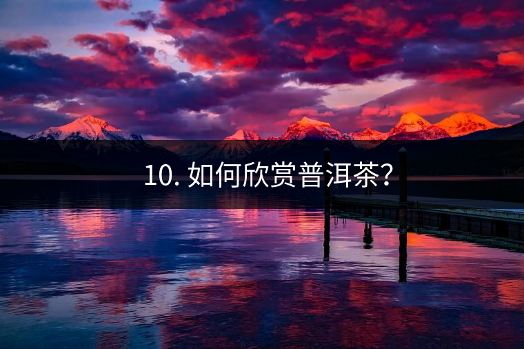 ? 10. 如何欣賞普洱茶？