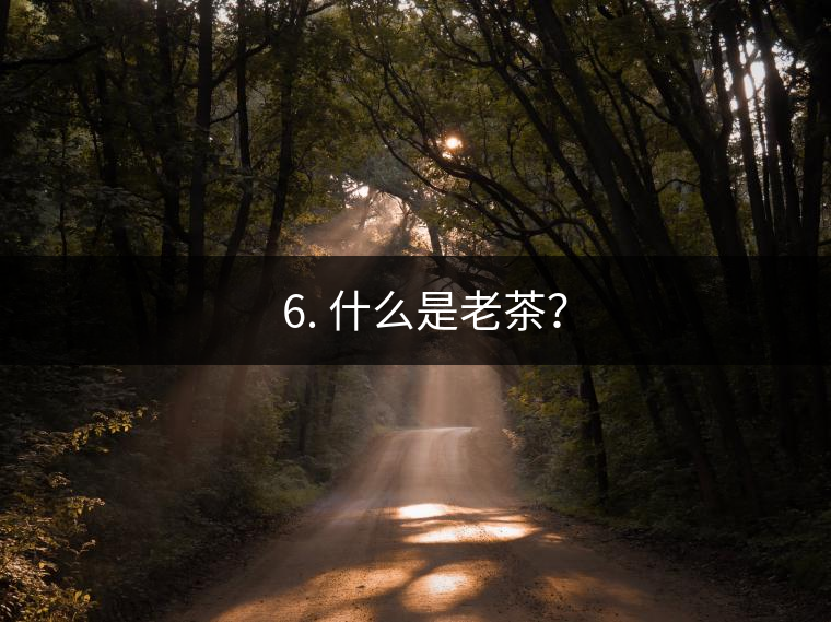 ? 6. 什么是老茶？
