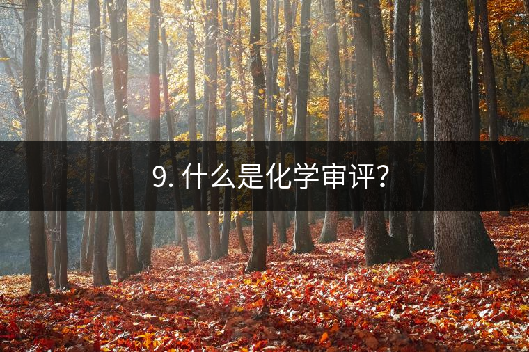 ? 9. 什么是化學(xué)審評？