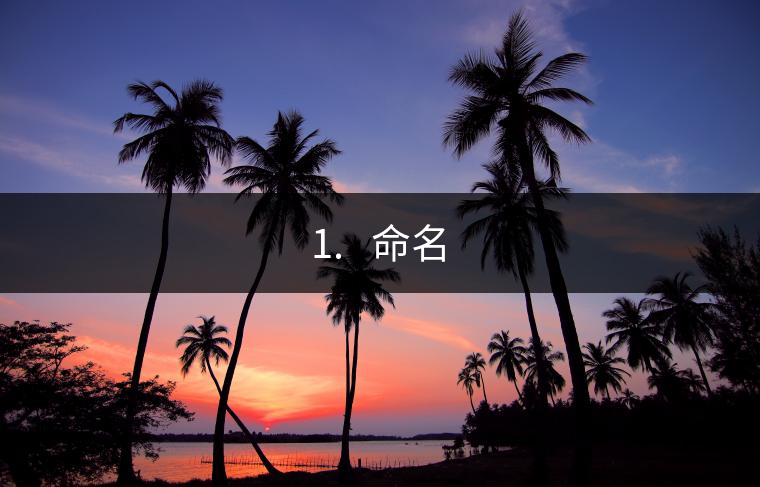 1.?? 命名 1.?? 命名