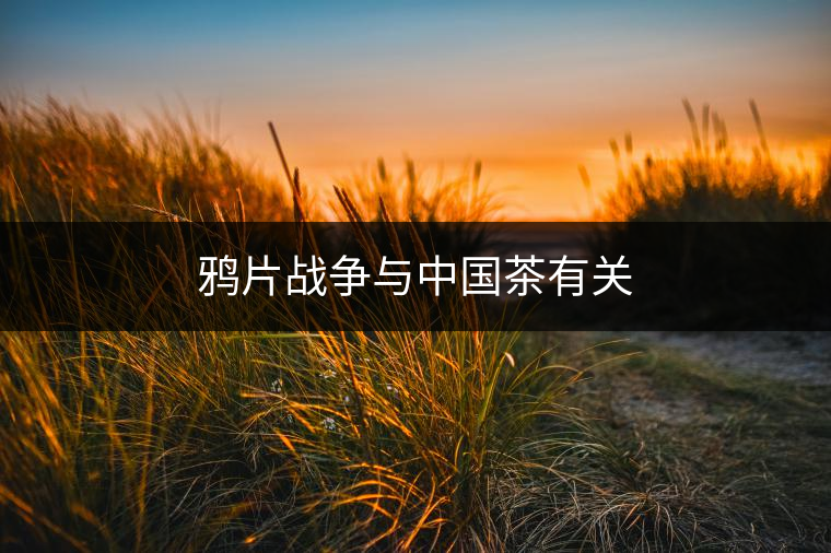 鴉片戰(zhàn)爭與中國茶有關 鴉片戰(zhàn)爭與中國茶有關
